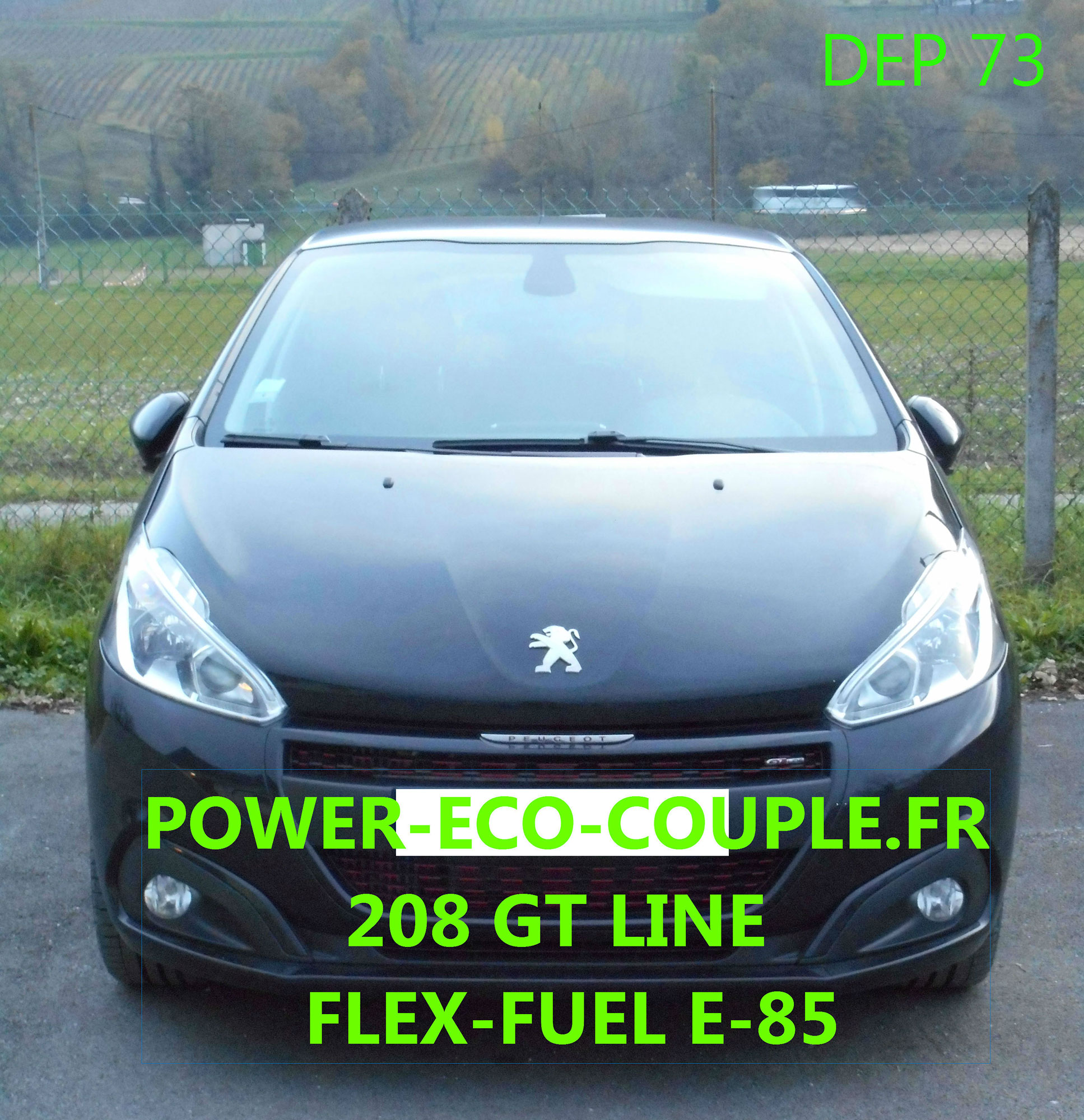 208-2-Flex-Fuel-E85